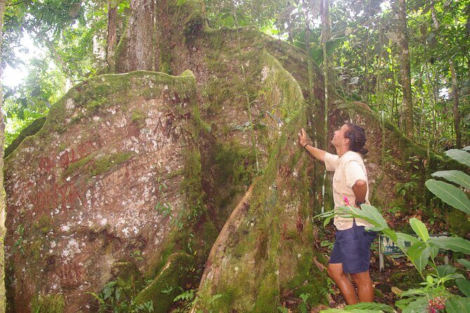 National Park Lava Cliffs and Black Sand Beach - Who Should Consider This Tour