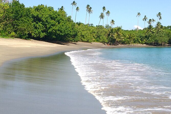 National Park Lava Cliffs and Black Sand Beach - Frequently Asked Questions