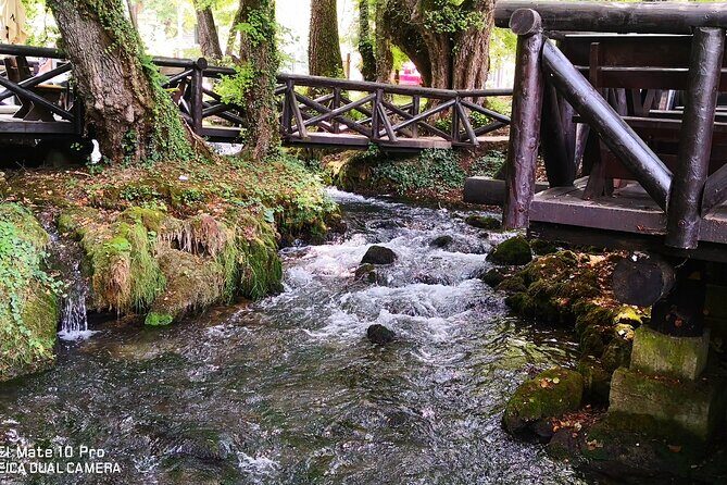 National Park Tara: House on Drina river, Banjska Stena View Point & Wooden Town - The Value of the Tour