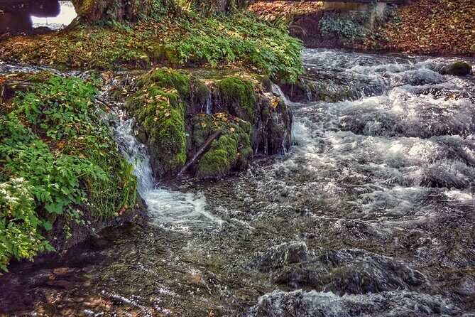 National park Tara - private day tour - Who Would Love This Tour?