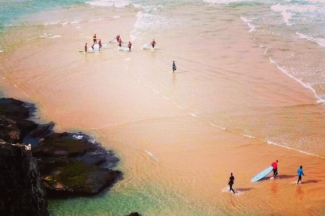 National Park West Coast Half Day Tour from Lagos - Key Points