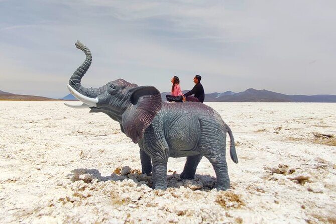 National Reserve of Salinas and Aguada Blanca - Who Is This Tour Best For?