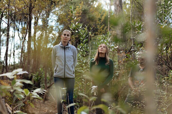 Native Forest Farm Experience Nourishing Nature in Auckland - A Closer Look at the Native Forest Farm Experience