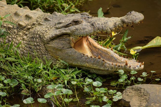 Natura Eco Park Admission - Key Points