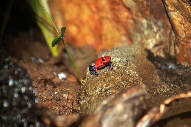 Natura Eco Park Admission - Final Recommendations