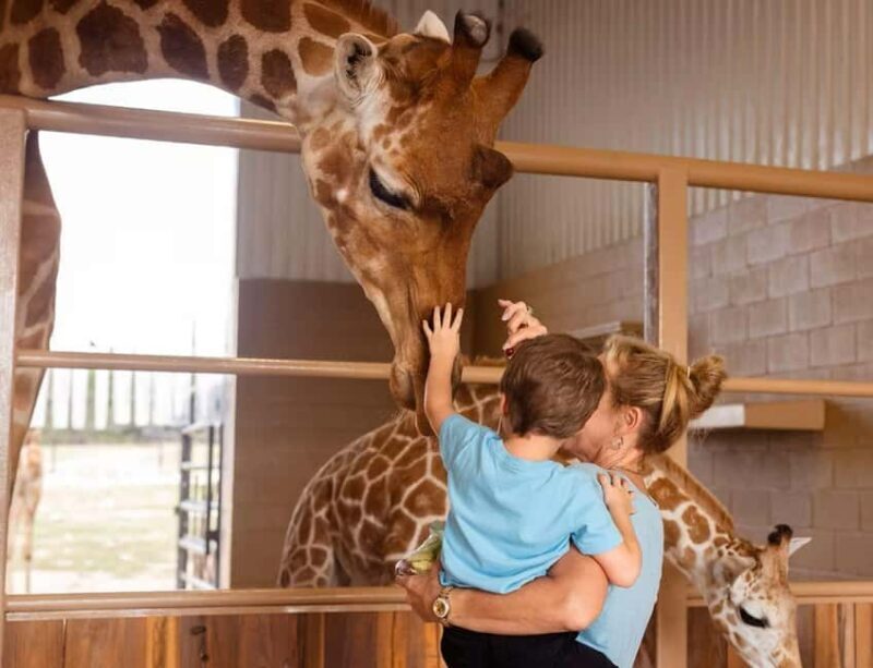 Natural Bridge Wildlife Ranch: Self-Guided Safari Drive-Thru - FAQ