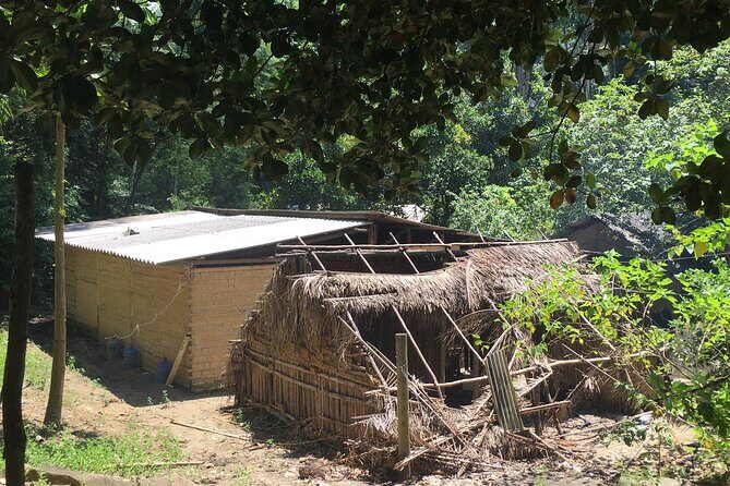 Natural day in an indigenous village - Who Is This Tour Best For?