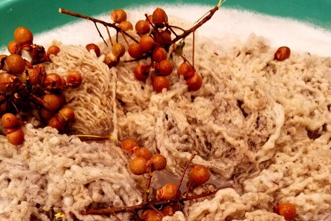 Natural Dyeing and Organic Weaving Workshop in Oaxaca - Key Points