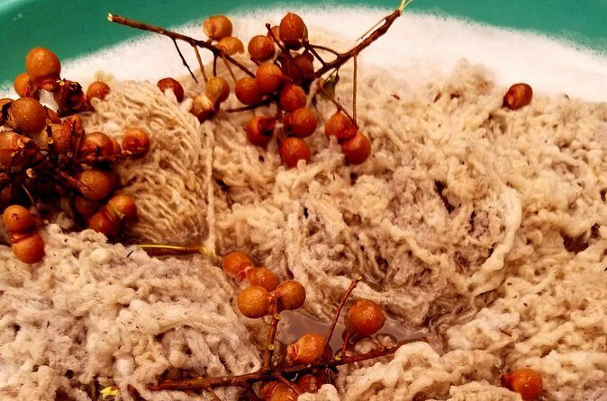 Natural Dyeing and Organic Weaving Workshop in Oaxaca - The Sum Up