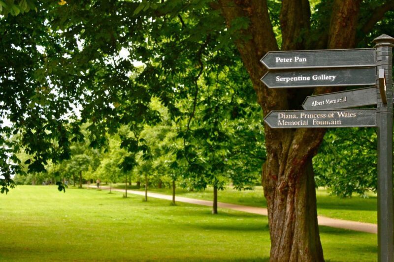 Natural History Museum e Kensington Garden - The Sum Up
