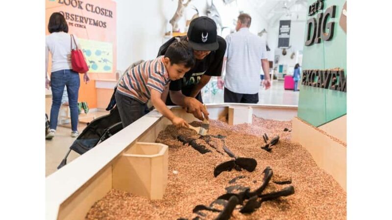 Natural History Museum LA: Entry + Fierce! The Story of Cats - Exploring the Natural History Museum of Los Angeles: A Day of Discovery