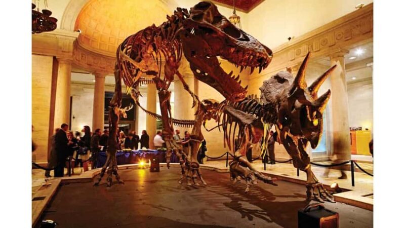 Natural History Museum LA: Entry + Fierce! The Story of Cats - Final Thoughts: The Value of a Day at NHM LA