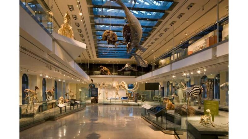 Natural History Museum LA: Entry + Fierce! The Story of Cats - FAQ