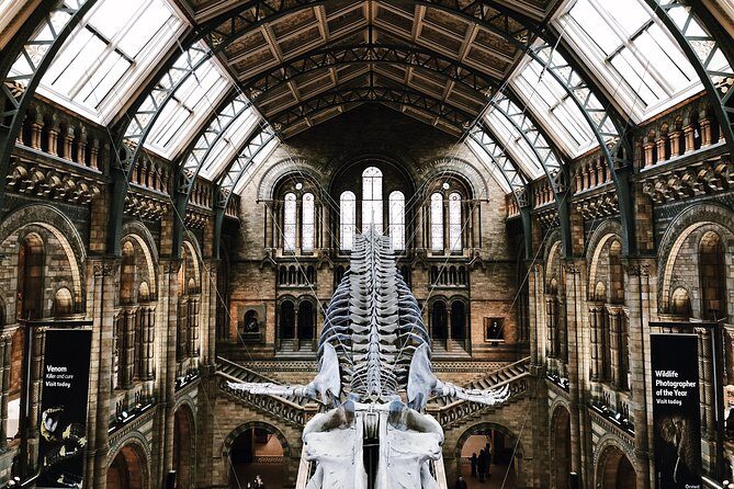 Natural History Museum London - Exclusive Guided Museum Tour - Exploring the Natural History Museum London with a Guided Tour