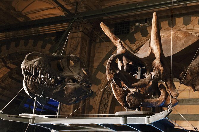Natural History Museum London - Exclusive Guided Museum Tour - FAQ