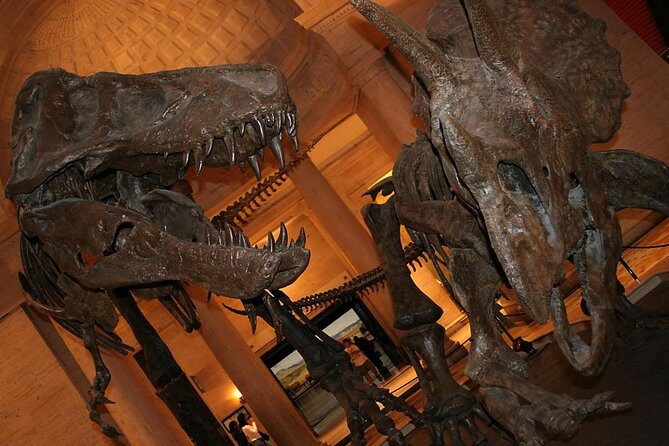 Natural History Museum of Los Angeles County Admission - Key Points