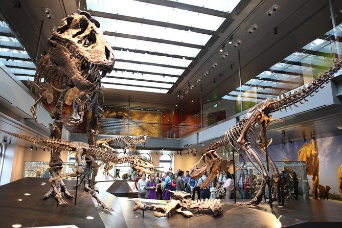 Natural History Museum of Los Angeles County Admission - An In-Depth Look at What to Expect