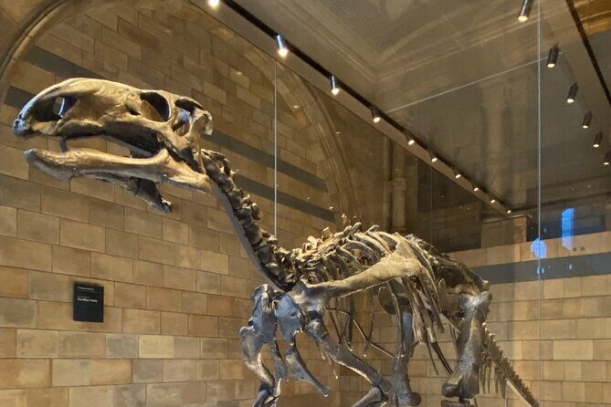 Natural History Museum Self-guided Tour for Kids in English - The Experience in Action: What Families Say