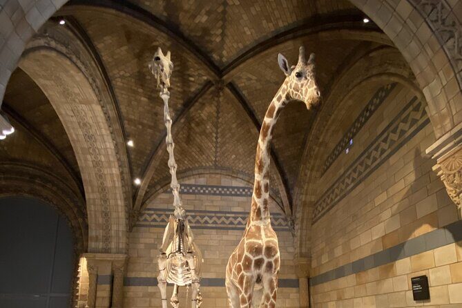 Natural History Museum Self-guided Tour for Kids in English - Practical Details and Tips