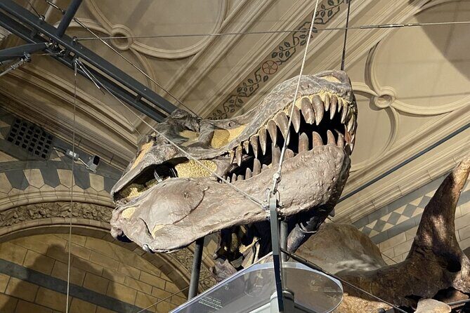 Natural History Museum Self-guided Tour for Kids in English - The Sum Up