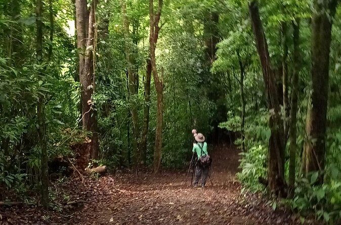 Natural History of the Cloud Forest - Frequently Asked Questions