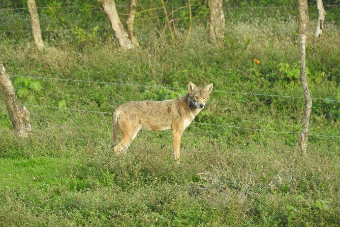 Natural History Tour at Curi Cancha Reserve in Monteverde - Exploring the Curi Cancha Natural History Tour