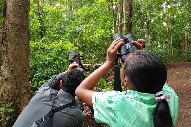 Natural History Walk - Itinerary Breakdown