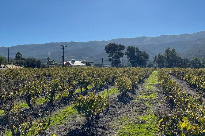 Natural Hot Springs Horseback Riding and Carne Asada Experience - Final Thoughts