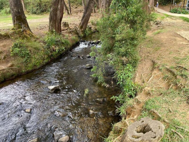 Natural Medellin: Botanical garden, Arví park, El Volador hill and lunch. - A Closer Look at the Experience