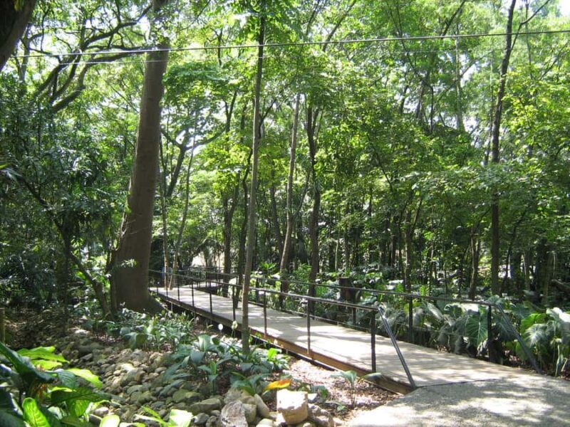 Natural Medellin: Botanical garden, Arví park, El Volador hill and lunch. - FAQ
