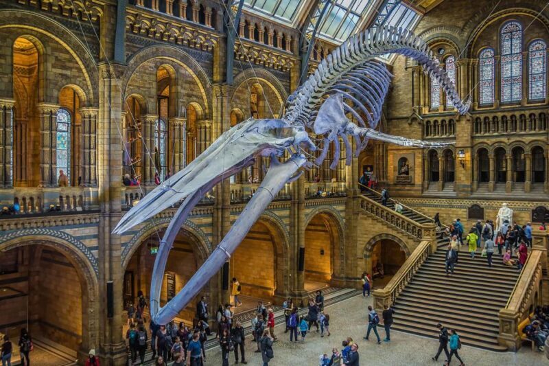 Natural Museum Adventure: Gems, Volcanoes, Dinosaurs - Quick Overview