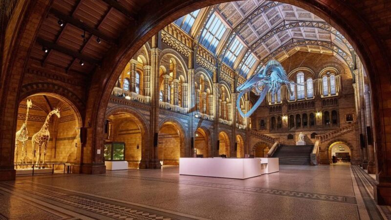 Natural Museum Adventure: Gems, Volcanoes, Dinosaurs - Final Thoughts