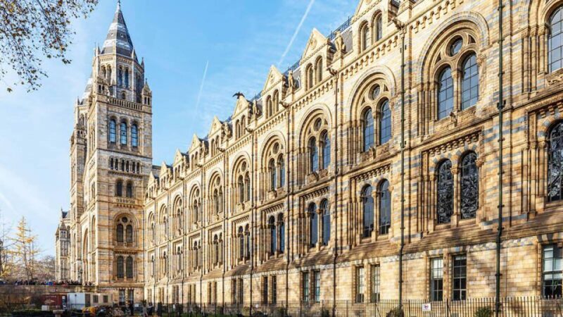 Natural Museum Adventure: Gems, Volcanoes, Dinosaurs - FAQs