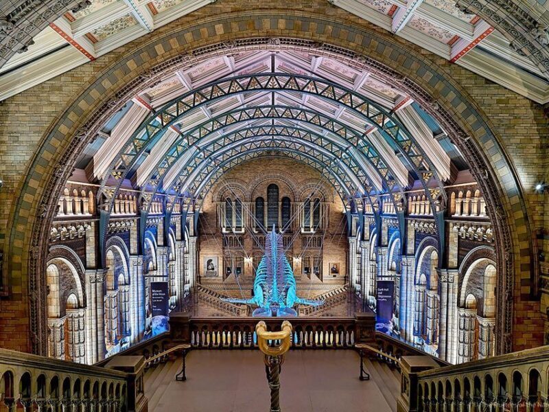 Natural Museum: Butterflies, Gems, Dinosaurs Explored - In-Depth Review of the Natural Museum Tour in Nantes