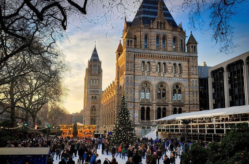 Natural Museum: Diplodocus to Blue Whale Wonders - Who Will Love This Experience?