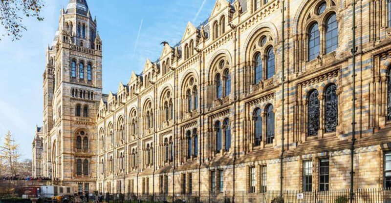 Natural Museum: Diplodocus to Blue Whale Wonders - Final Thoughts