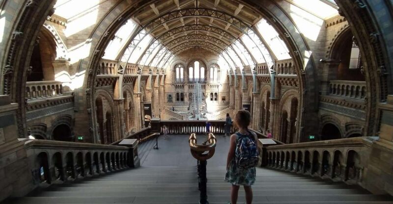 Natural Museum: Diplodocus, Volcanoes, Whale, and Gems - Key Points