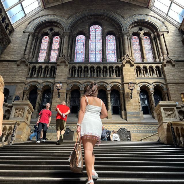 Natural Museum Secrets: Diplodocus, Blue Whale, Evolution - Natural Museum Secrets: Diplodocus, Blue Whale, Evolution