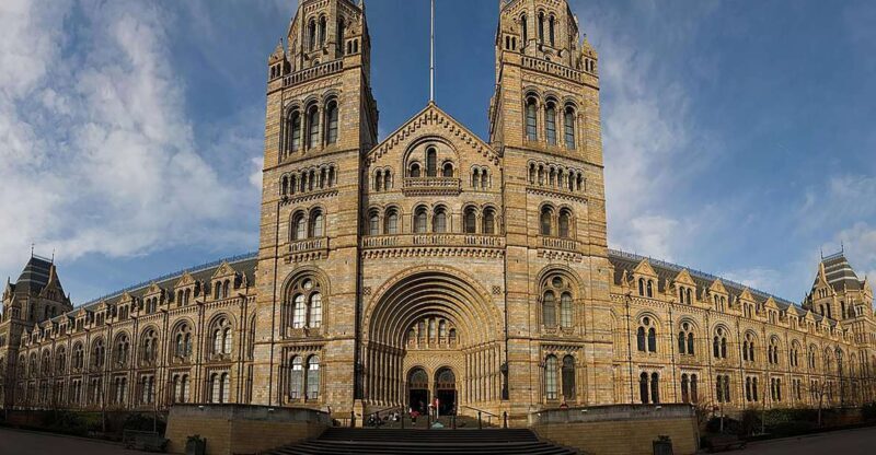 Natural Museum Secrets: Diplodocus, Blue Whale, Evolution - Key Points