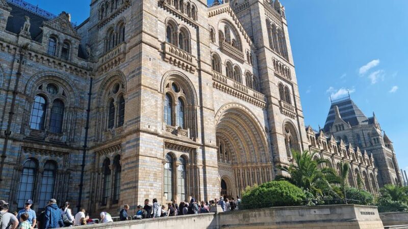 Natural Museum Secrets: Diplodocus, Blue Whale, Evolution - Frequently Asked Questions