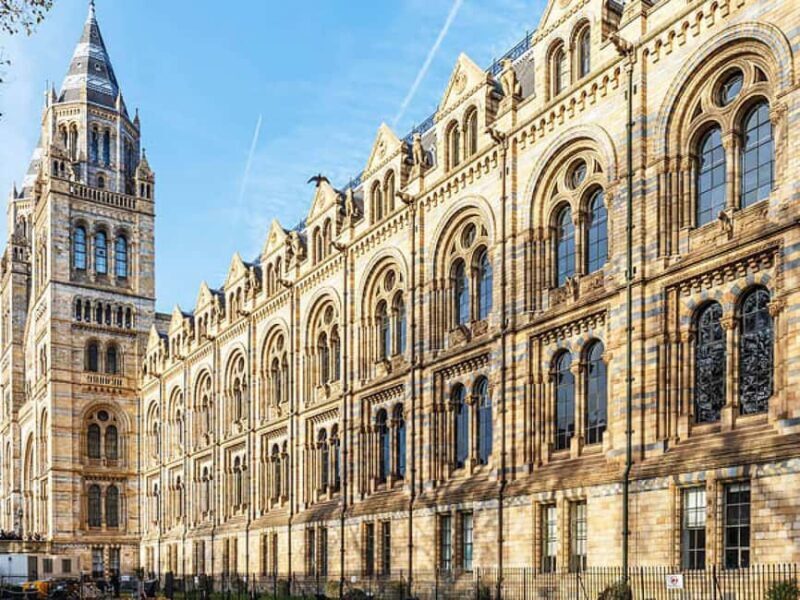 Natural Museum Tour: Volcanoes, Earthquakes, Blue Whale - The Practicalities: What You Need to Know