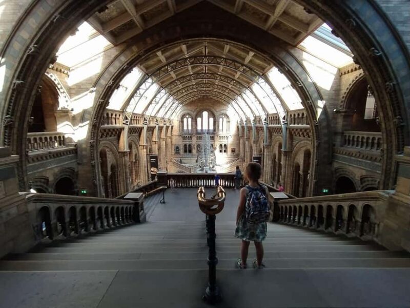 Natural Museum Tour: Volcanoes, Earthquakes, Blue Whale - FAQ