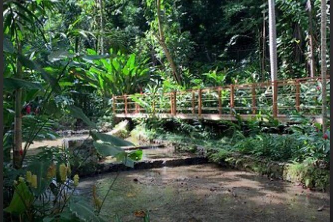 Natural Mystic - Exploring Ocho Rios with Natural Mystic: A Practical Review