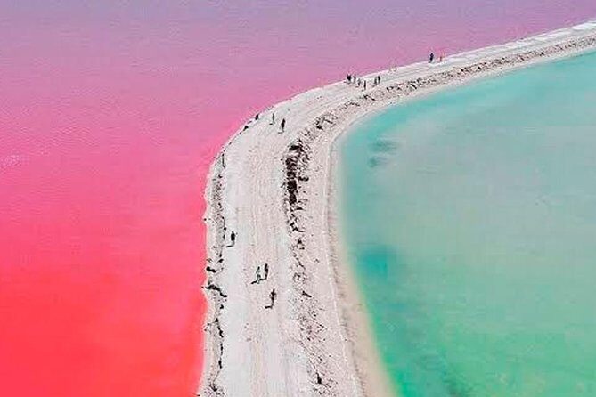 Natural Pink Lake Tour Las Coloradas only from Playa del Carmen - Key Points