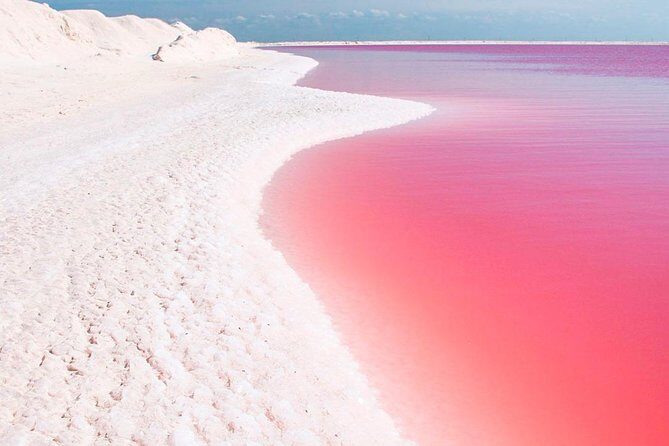 Natural Pink Lake Tour Las Coloradas only from Playa del Carmen - Authentic Traveler Insights