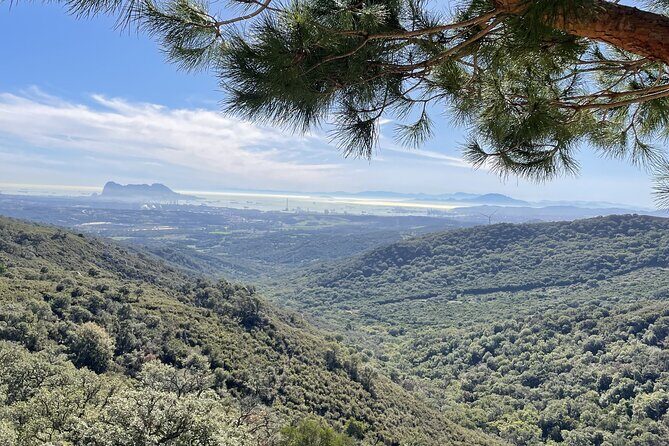 Natural Reserve on Electric Mountain Bike with Guide - Key Points