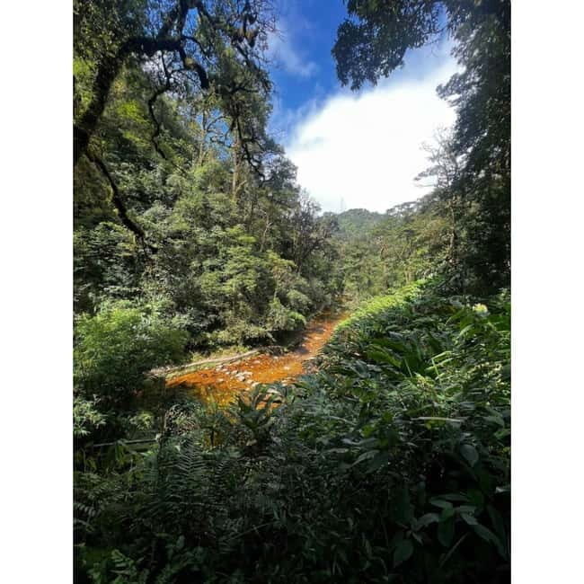 Natural. The 1D Fansipan peak .HmongSisterHouse&Trekking - Who This Tour Suits Best