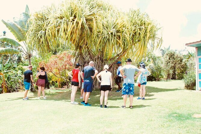 Nature and Adventure Safari Immersion in Dominican Life - FAQs