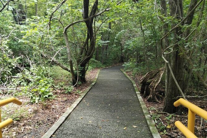 Nature and Culture Experience at Santa Rosa National Park - The Sum Up