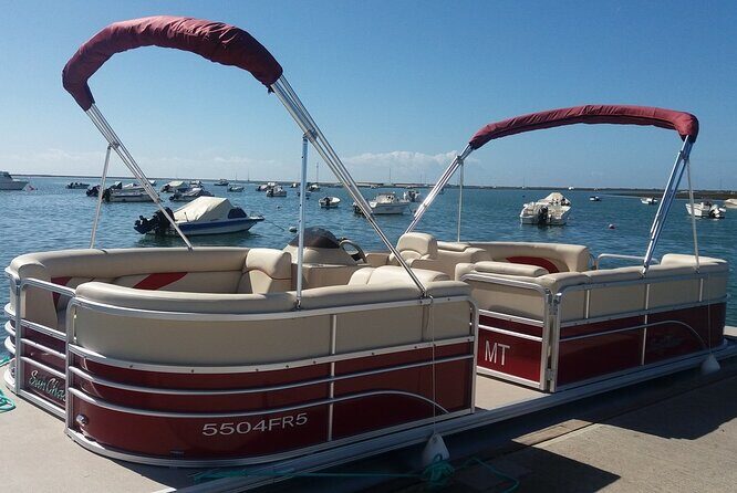 Nature Catamaran Tour from Faro - FAQ - Your Practical Questions Answered